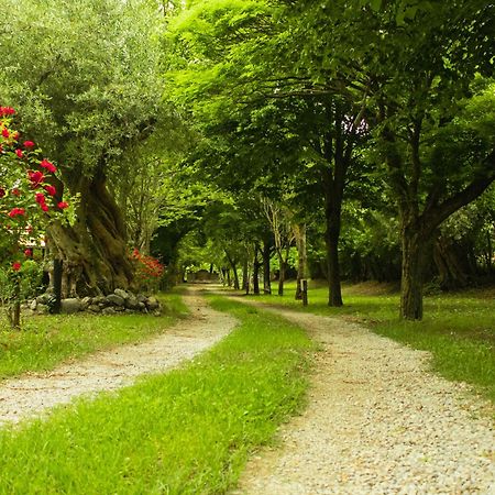 Agriturismo La Locanda Del Parco Morano Calabro Eksteriør billede