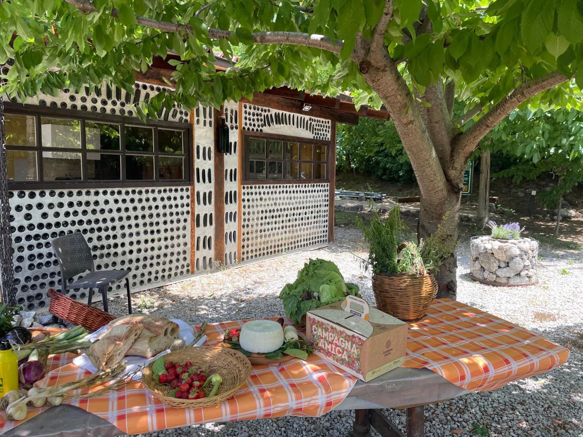 Agriturismo La Locanda Del Parco Morano Calabro Eksteriør billede