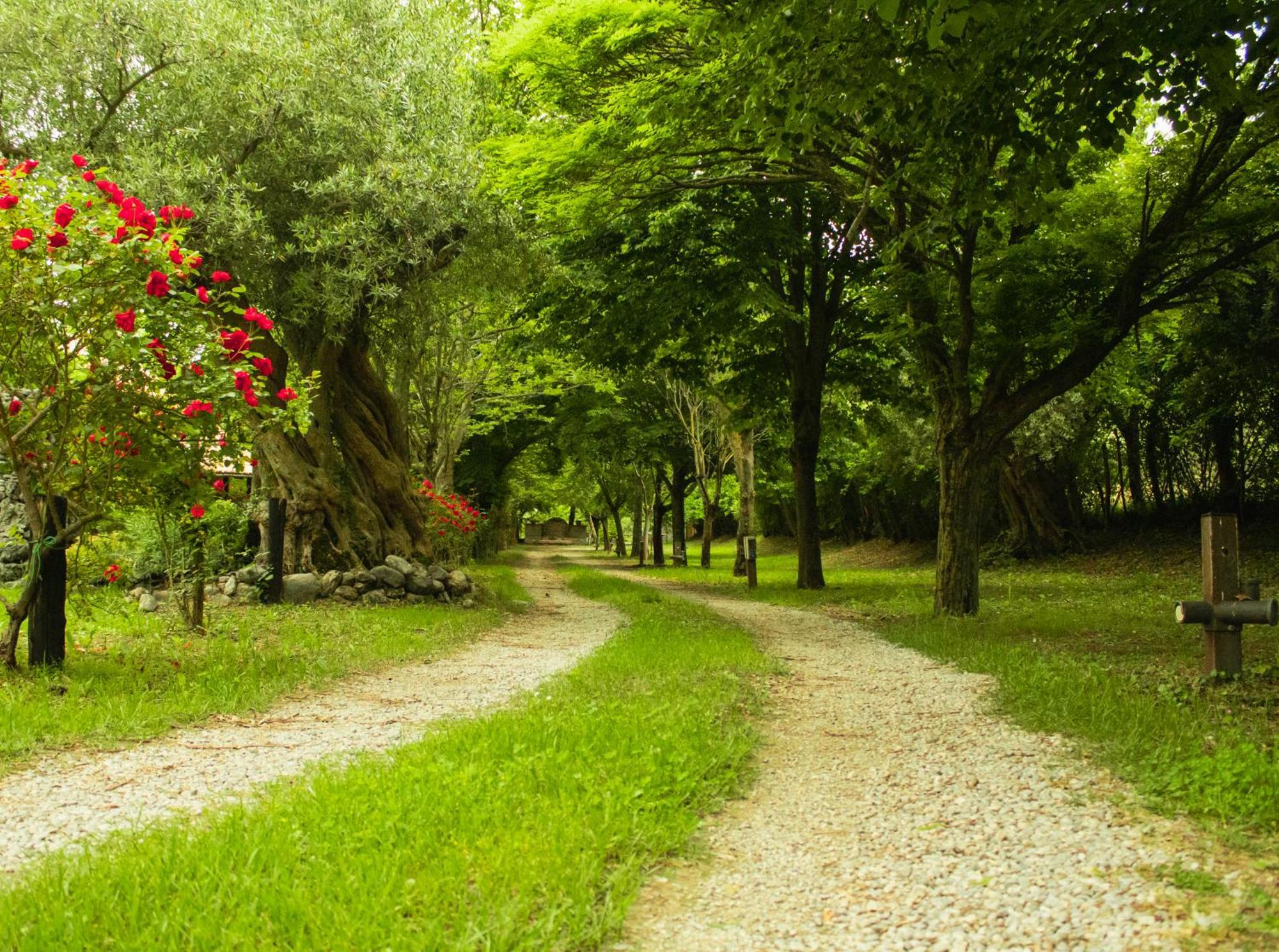 Agriturismo La Locanda Del Parco Morano Calabro Eksteriør billede