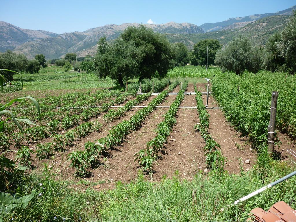 Agriturismo La Locanda Del Parco Morano Calabro Eksteriør billede