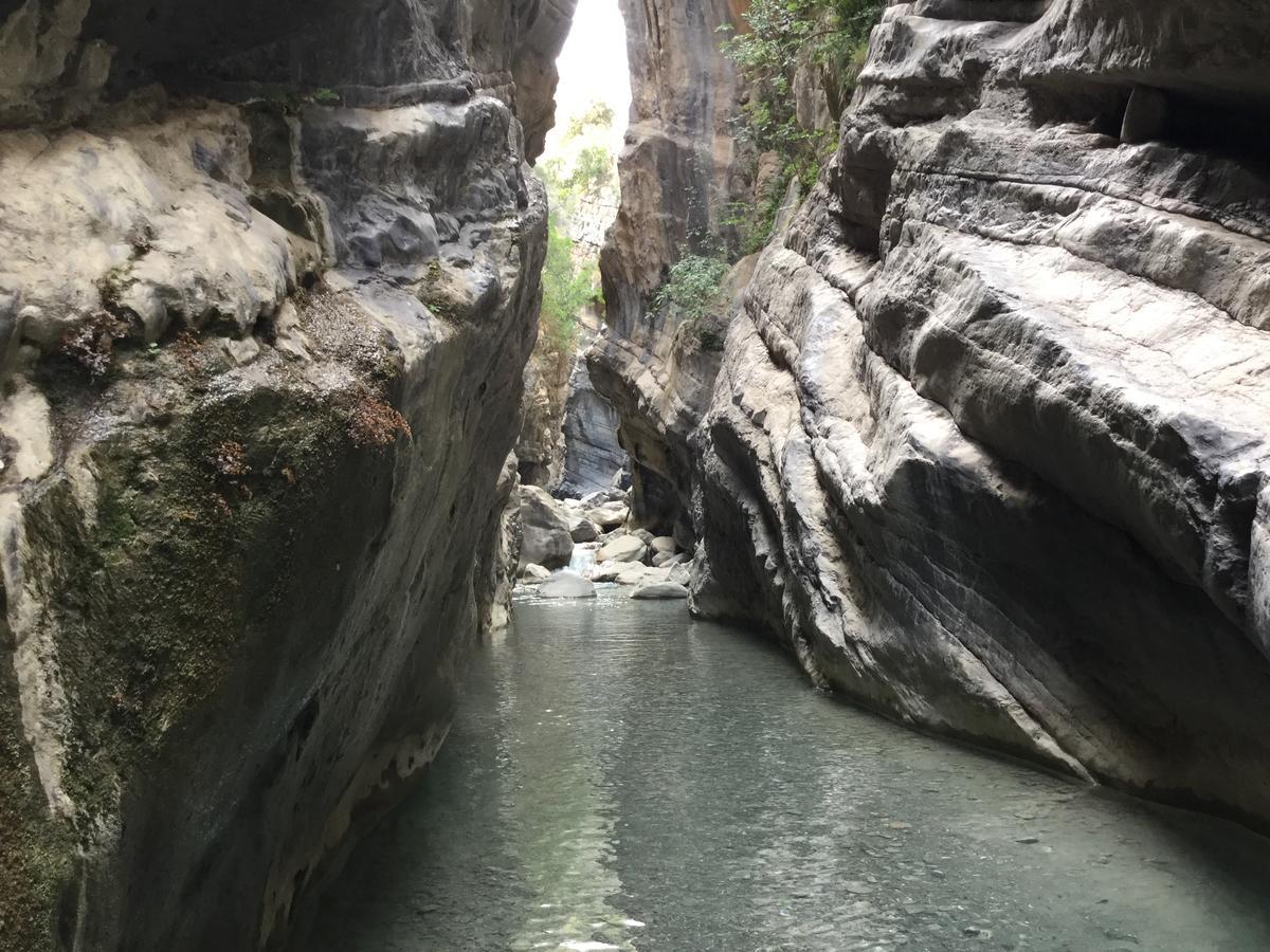Agriturismo La Locanda Del Parco Morano Calabro Eksteriør billede